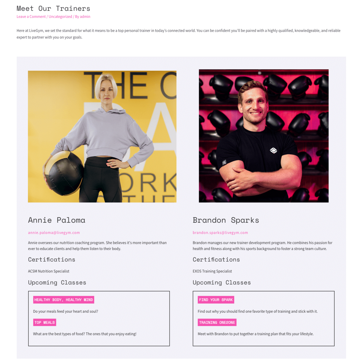 Una entrada con campos personalizados en el <i>frontend</i>